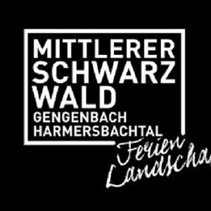 Ferienlandschaft Mittlerer Schwarzwald Newsletter